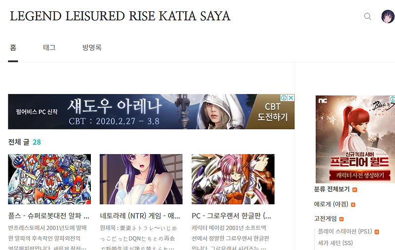 블로그 구글 애드센스도 유튜브 마냥 노딱이 존재하나보다