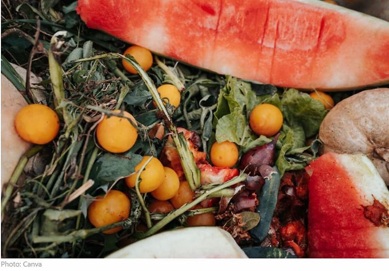 변화의 바람부는 러시아 폐기물 처리시장  Russia considers processing food waste into feedstuff