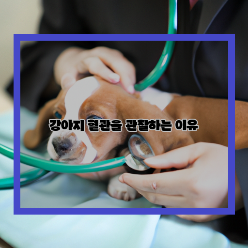 강아지 혈관을 관찰하는 이유: 건강한 반려견 육성을 위해