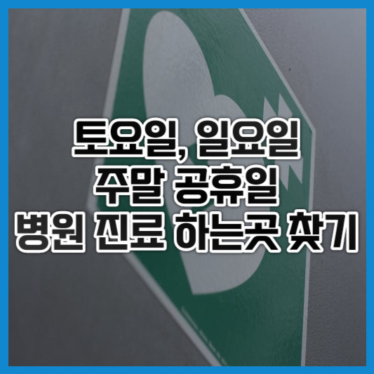 토요일 일요일 공휴일 주말 병원, 약국,응급실 진료 하는곳 찾기