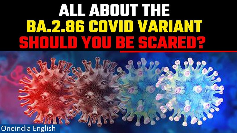 신종 BA.2.86, 백신 및 자연면역 무력화 될 수 있어 VIDEO: New COVID Strain May Evade Vaccines, Alarming Health Officials