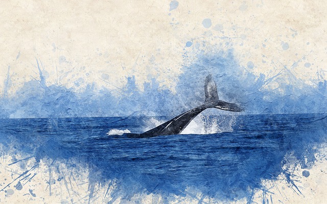 대양의 거대한 지배자 고래의 특징
