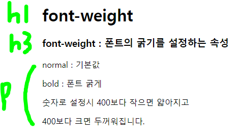 CSS _폰트(font)_font-weight