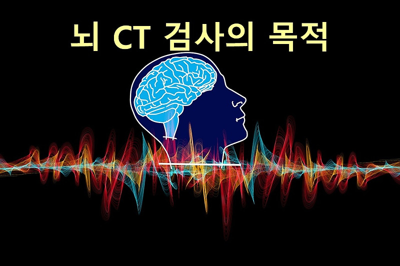 뇌 CT 검사의 목적과 방법