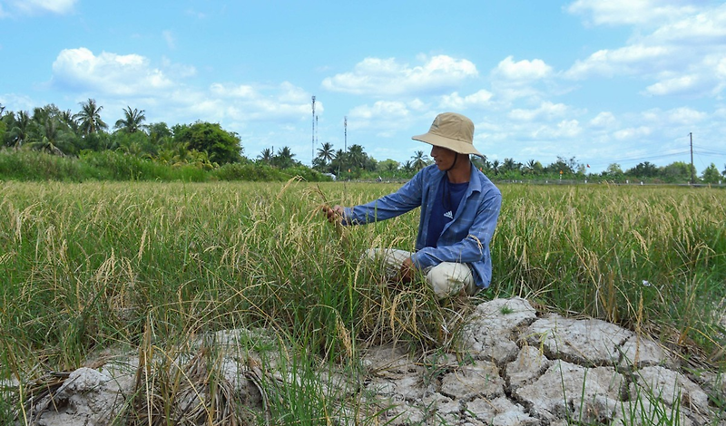 지구온난화 영향 기상이변 해수면 상승 베트남 메콩강 농작물 피해