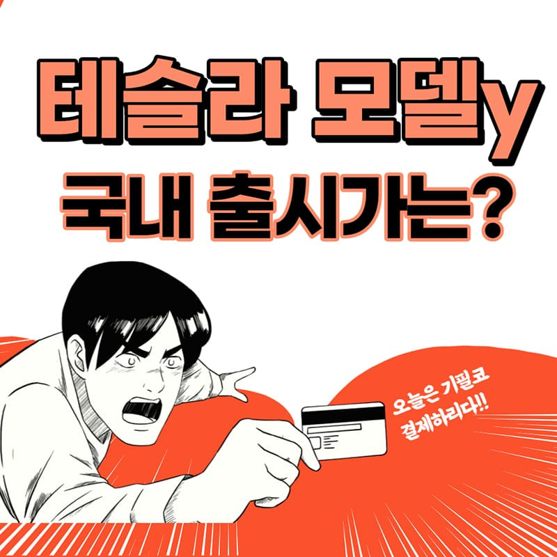 테슬라 모델y 국내출시 :: 2021 전기차 가격