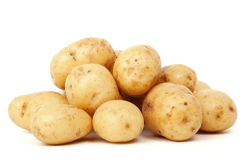 감자에 대해서 감자의 효능, 부작용