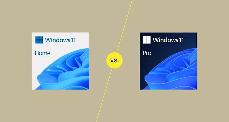 윈도우11 홈과 프로 차이점