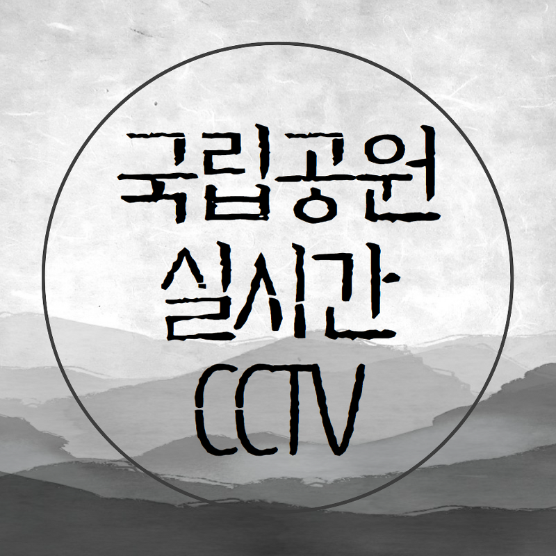 국립공원 실시간 cctv 모바일 (태백산)