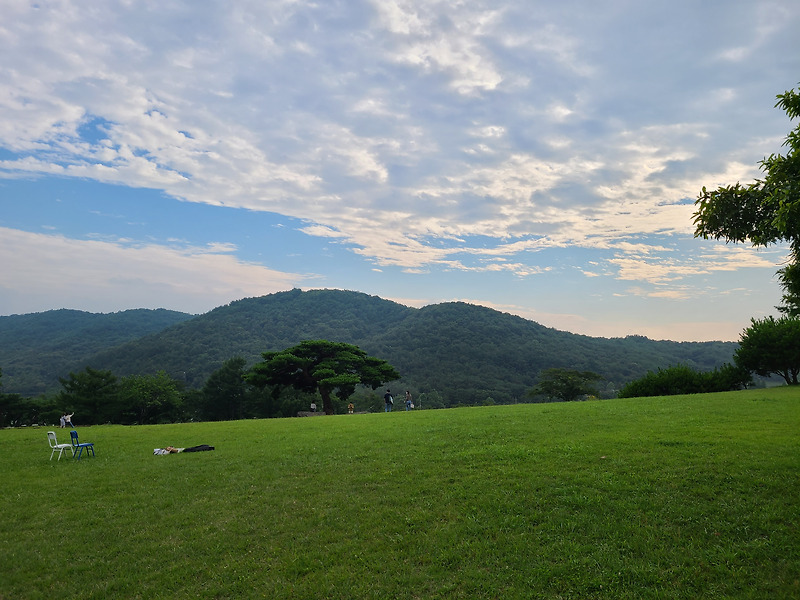 2천원의 행복 캠핑클럽 촬영지 경주 화랑의 언덕 여행 후기