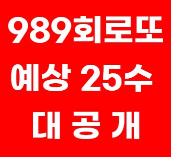 989회로또예상번호 및 제외번호 분석, 최종예상번호 25수 대공개