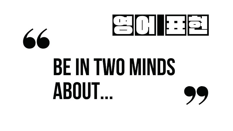 (자주 쓰는 영어 표현) Be in two minds about...