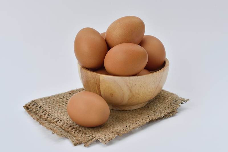 달걀의 효능과 건강하게 잘 먹는 방법