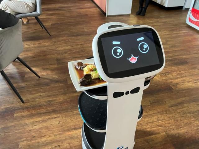 개인용 서비스 로봇의 미래 What Does the Future Hold for Personal Service Robots?