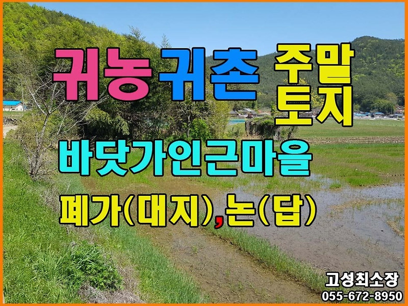 경남고성부동산(토지) ㅡ 바닷가 인근마을 폐가와 논 매매 총면적은 2351(711평)