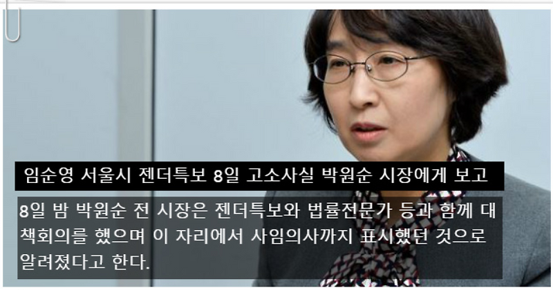 젠더특보 뜻, 임순영 젠더특보 및 성인지 감수성이란