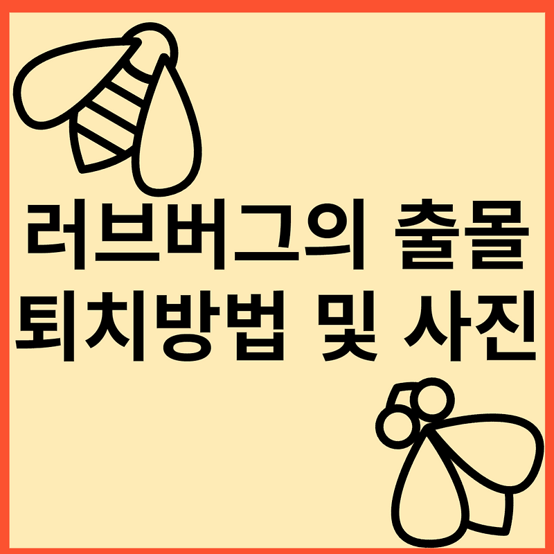 은평구 러브버그 출몰 퇴치방법 살충제