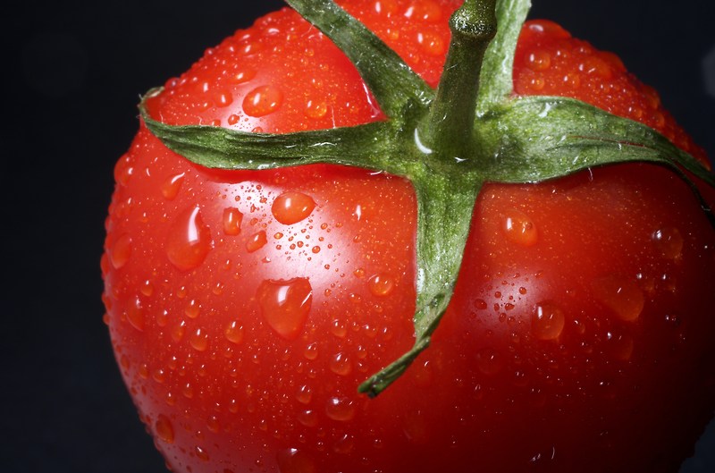 [토마토]건강과 맛을 함께 채우는 자연의 선물