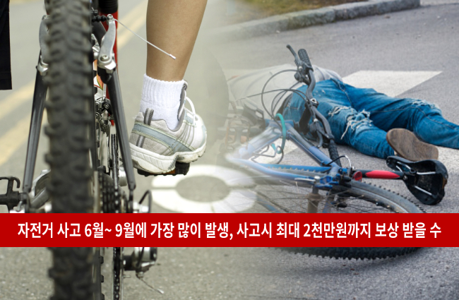 자동차 자전거 사고 대처 보험처리