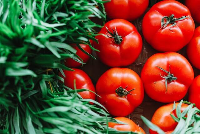 다이어트 식단 2) 토마토 효능과 요리법