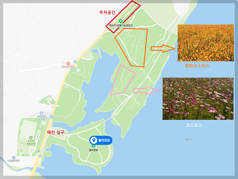 [10월 추천 장소] 남양주 물의 정원 - 코스모스밭 현황 (2023.10.03 방문)