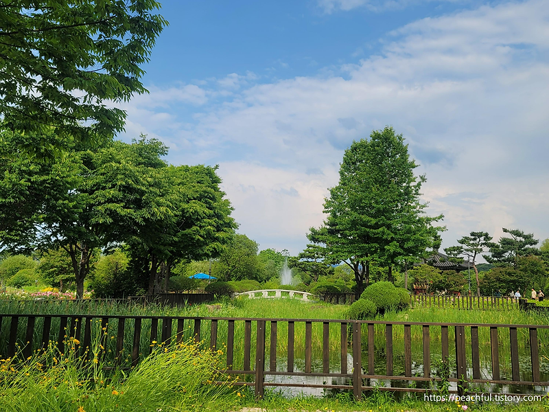 [대전] 피크닉 가기 좋은 날씨엔 대전 한밭수목원
