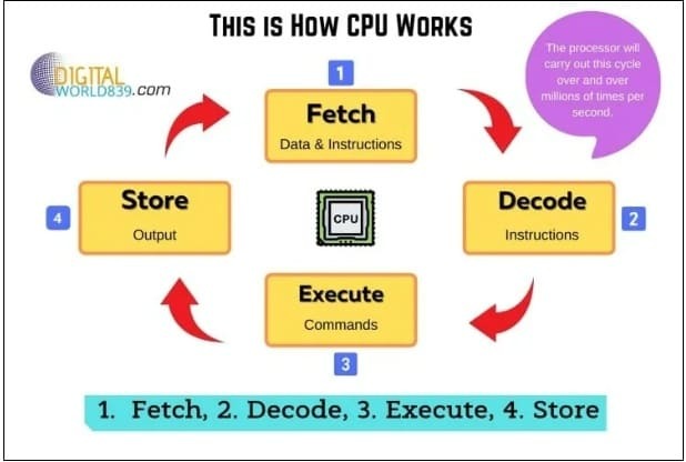 알 것 같은데도 잘 모르는 'CPU 프로세서'...컴 성능의 핵심 차이점와 선택은? VIDEO: How a CPU Works : CPU Type