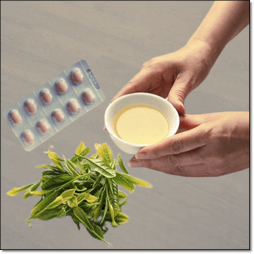 녹차추출물 EGCG(Green Tea EGCG) 효능 및 부작용
