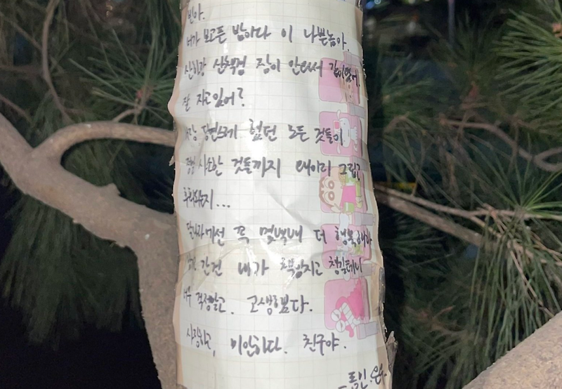 차은우 동갑내기 친구 고 문빈에게 가슴 아픈 추모 편지 산하 세븐틴 민규도 편지