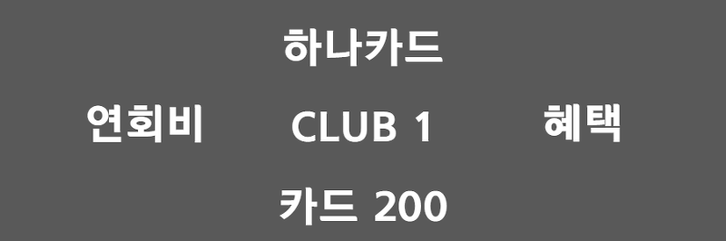 하나 클럽(CLUB)1카드 200, 프리미엄 VVIP 서비스의 정석.