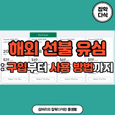 해외 선불 유심 이용 가이드: 데이터 걱정은 끝