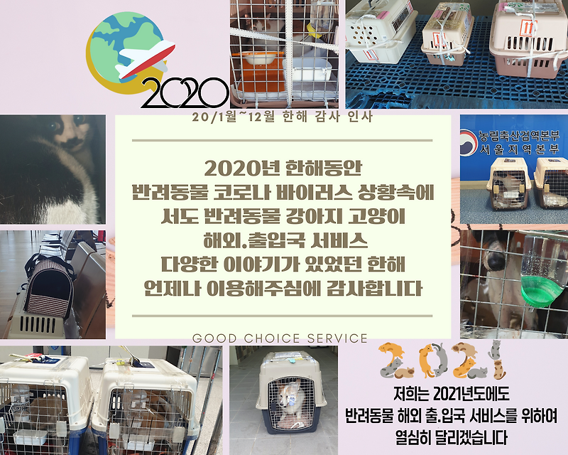 2021 새해인사말 새해인사 신년인사말 신축년인사 신년인사 [강아지해외운송 고양이해외운송 고양이검역 강아지검역 강아지출국 고양이출국]