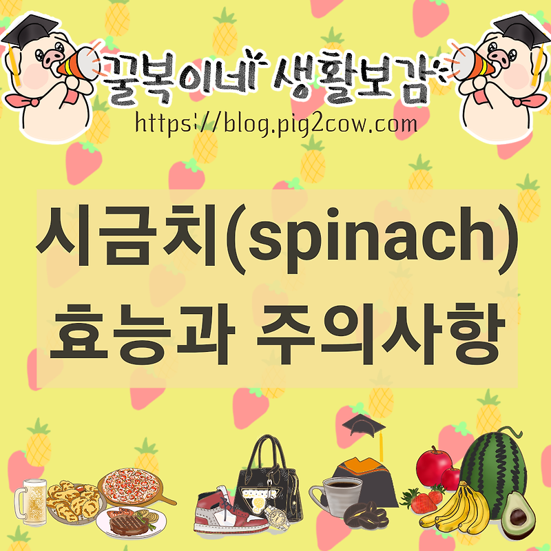 채소의 왕! 시금치 효능과 주의사항(spinach)