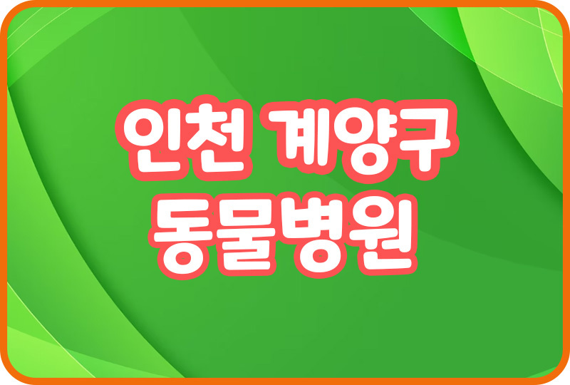 인천 계양구 동물병원 추천 반려견 예방접종 훈련 애견미용 눈병