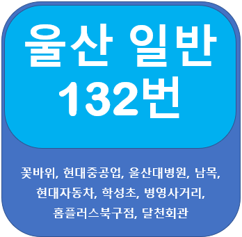울산 132번 버스, 꽃바위 ,현대중공업,현대차,달천회관