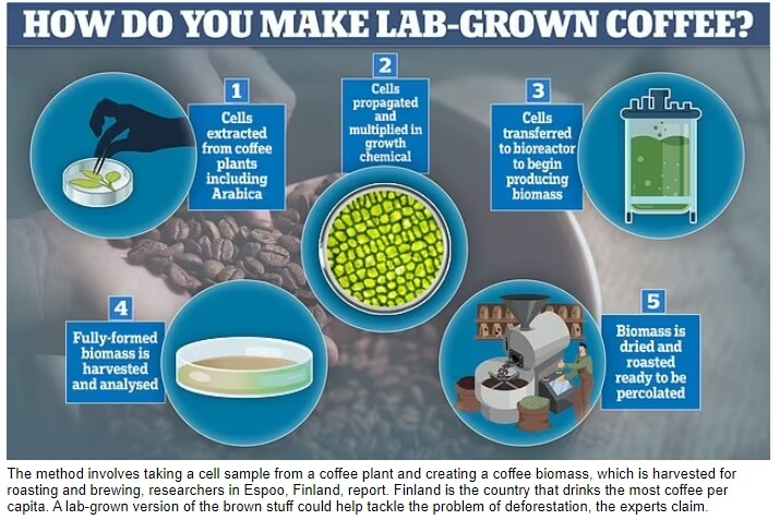 세계 최초 실험실 재배 유전자 '커피' 개발....
