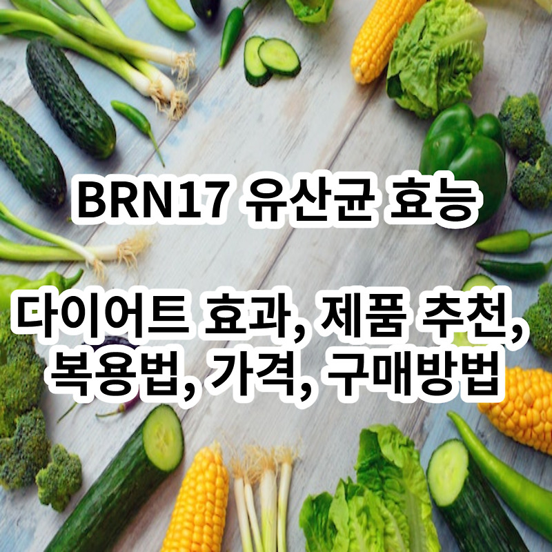 BNR17 유산균 효능, 다이어트 효과, 제품 추천, 복용법, 가격, 구매방법, 뉴트리나우 BNR17 : 그냥 유산균이랑 다르네?!