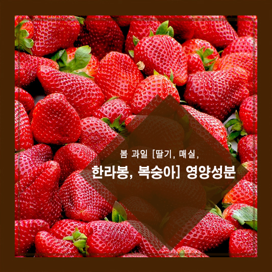 봄 과일 [딸기, 매실, 한라봉, 복숭아] 영양성분