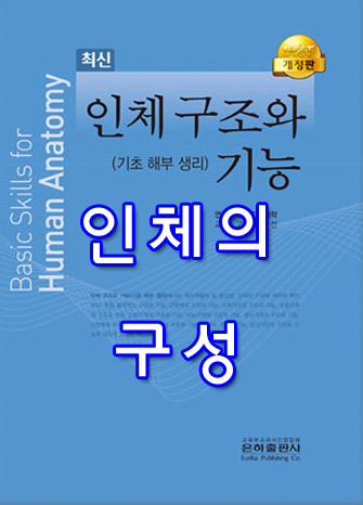 [인체 구조와 기능] 03 인체의 구성 summary