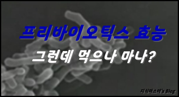 프리바이오틱스 효능 먹을 필요가 없다? 왜?