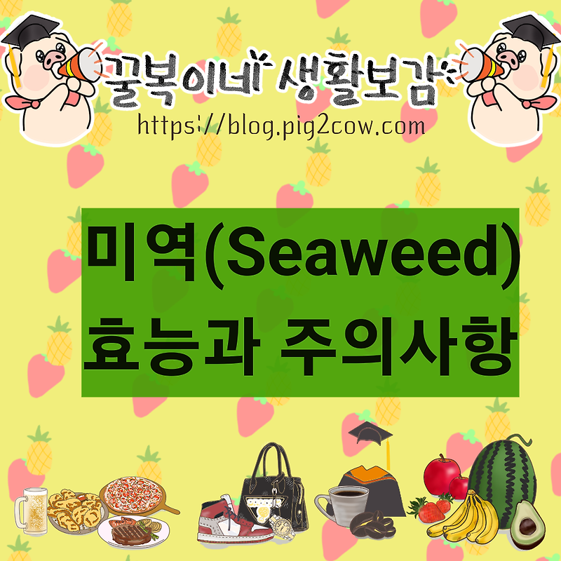 미역 영양소 성분 효능 주의사항(Seaweed)