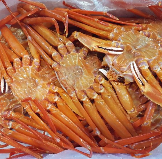 생방송투데이 오늘방송맛집 대게 맛집 대게엔쿡