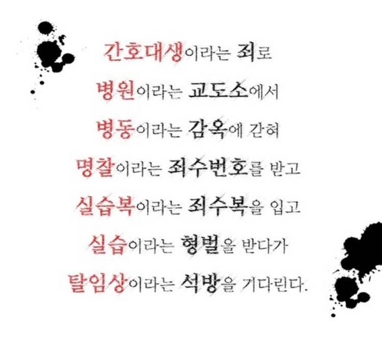 간호대생 카톡 프사