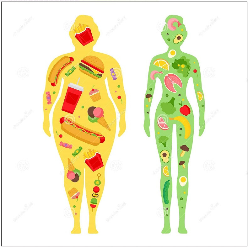 지방조직 원하는 대로 조절할 수 있다면 얼마나 좋을까?...POSTECH·부산대, 체외 지방조직 개발