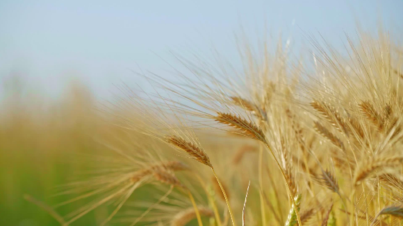 [하나님의 약속]말세 징조에 관한 성경 구절 — 주의 재림을 맞이하는 길을 찾다