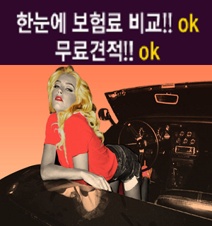 자동차보험료조회 한번으로 가장 저렴한상품 찾기ok