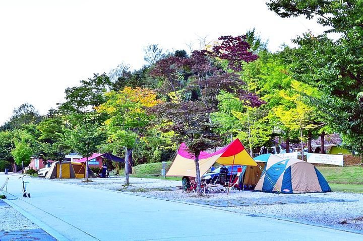 생방송 오늘저녁 경기 포천 한탄강 오토 캠핑장 추천 온라인 예약하는 방법
