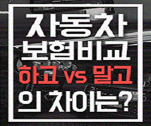 이번달 최저가보험료 확인가능한 자동차보험료계산기