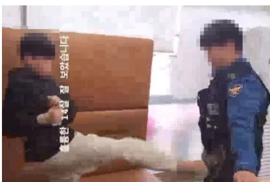 대한민국 14세 근황 10대 남 경찰에 발길질 영상 '수갑 풀어봐 맞짱뜨자'