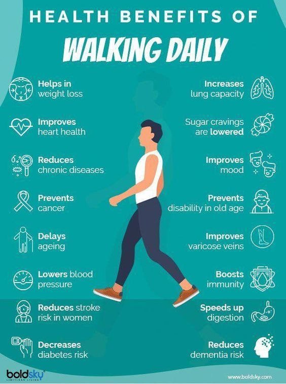 매일 걷기